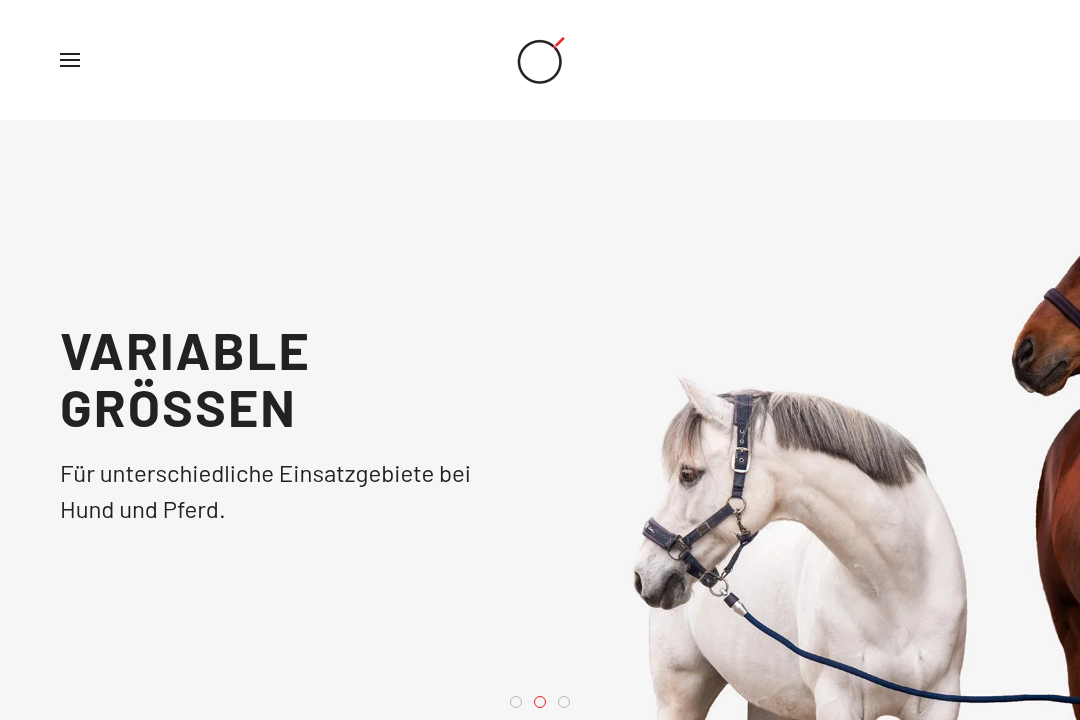 Goleygo Website