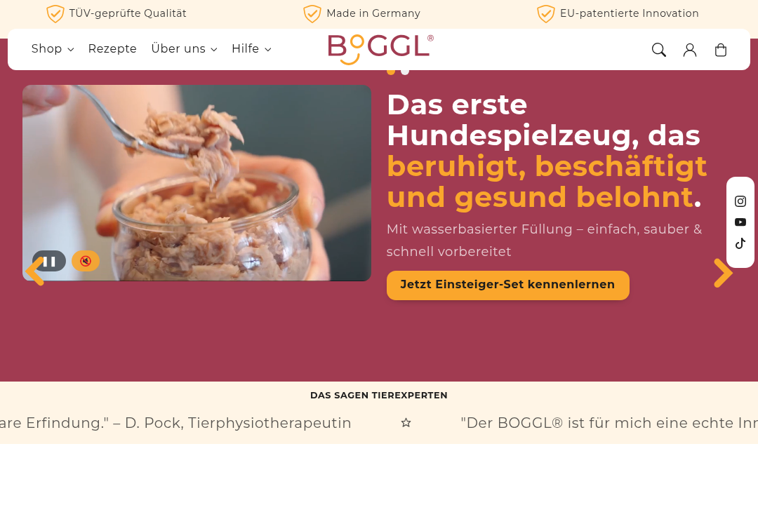 Boggl Website