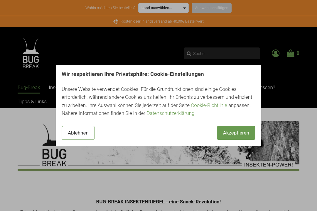 Bug Break Website