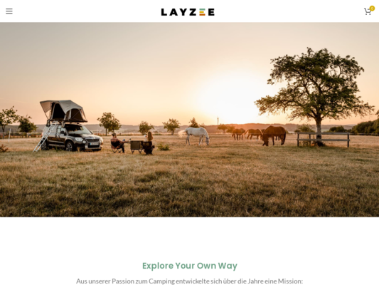 Layzee Website