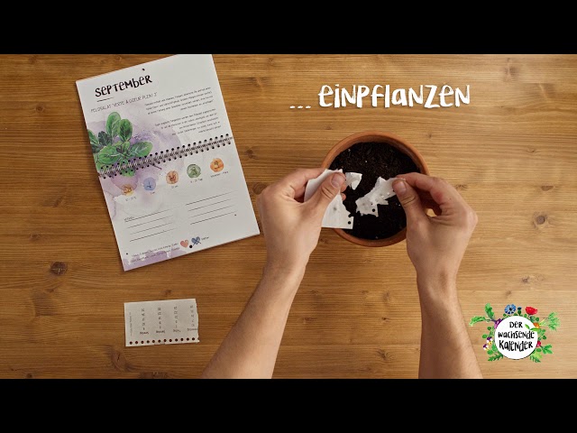 Primoza Einpflanzbarer Kalender - aus Die Hhle der Lwen (DHDL)